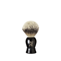 THE BRUSH