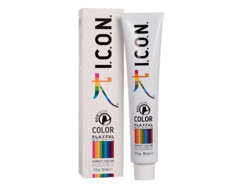 I.C.O.N. Products | Playful Brights