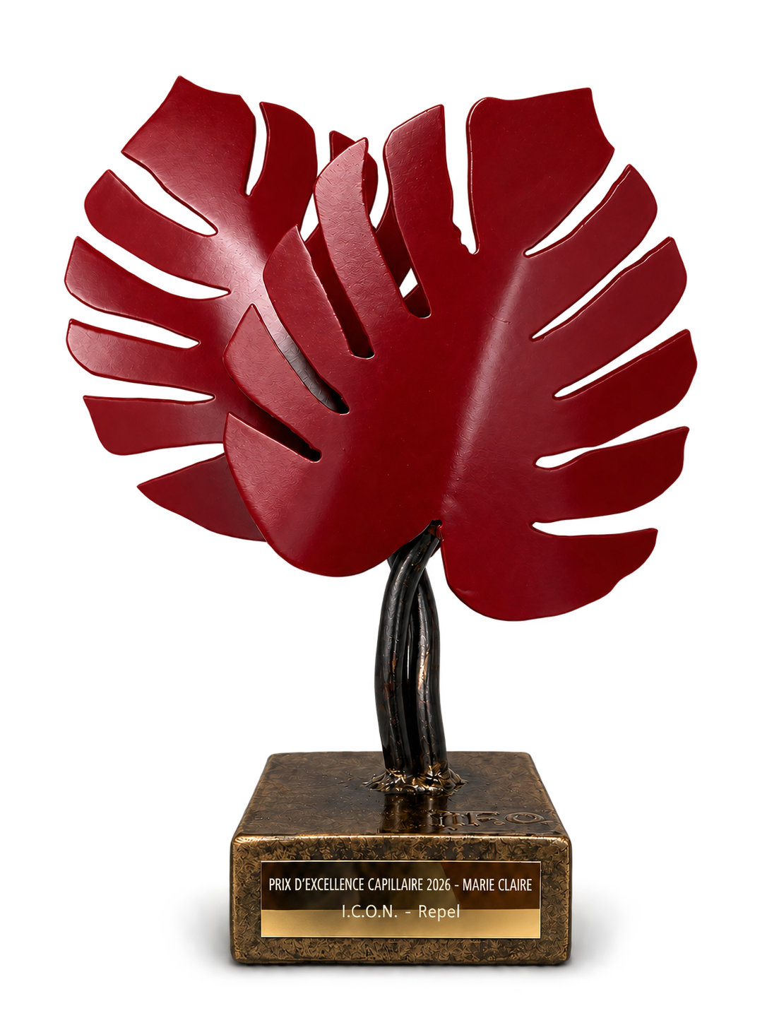 Image icon